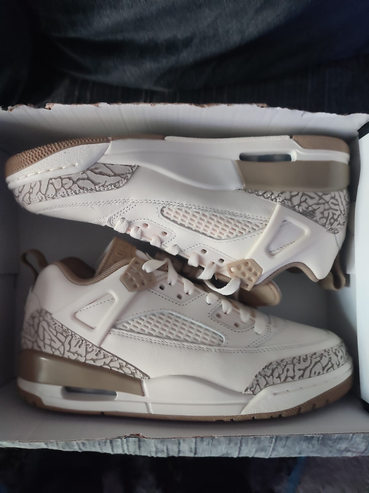 NIKE Jordan Spizike Low