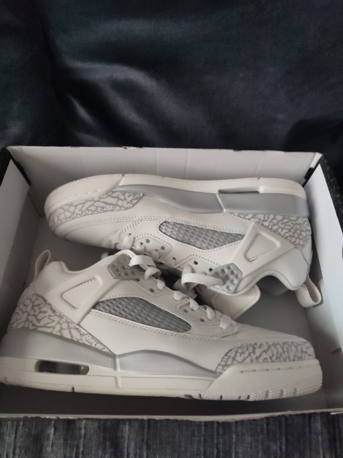 NIKE Jordan Spizike Low