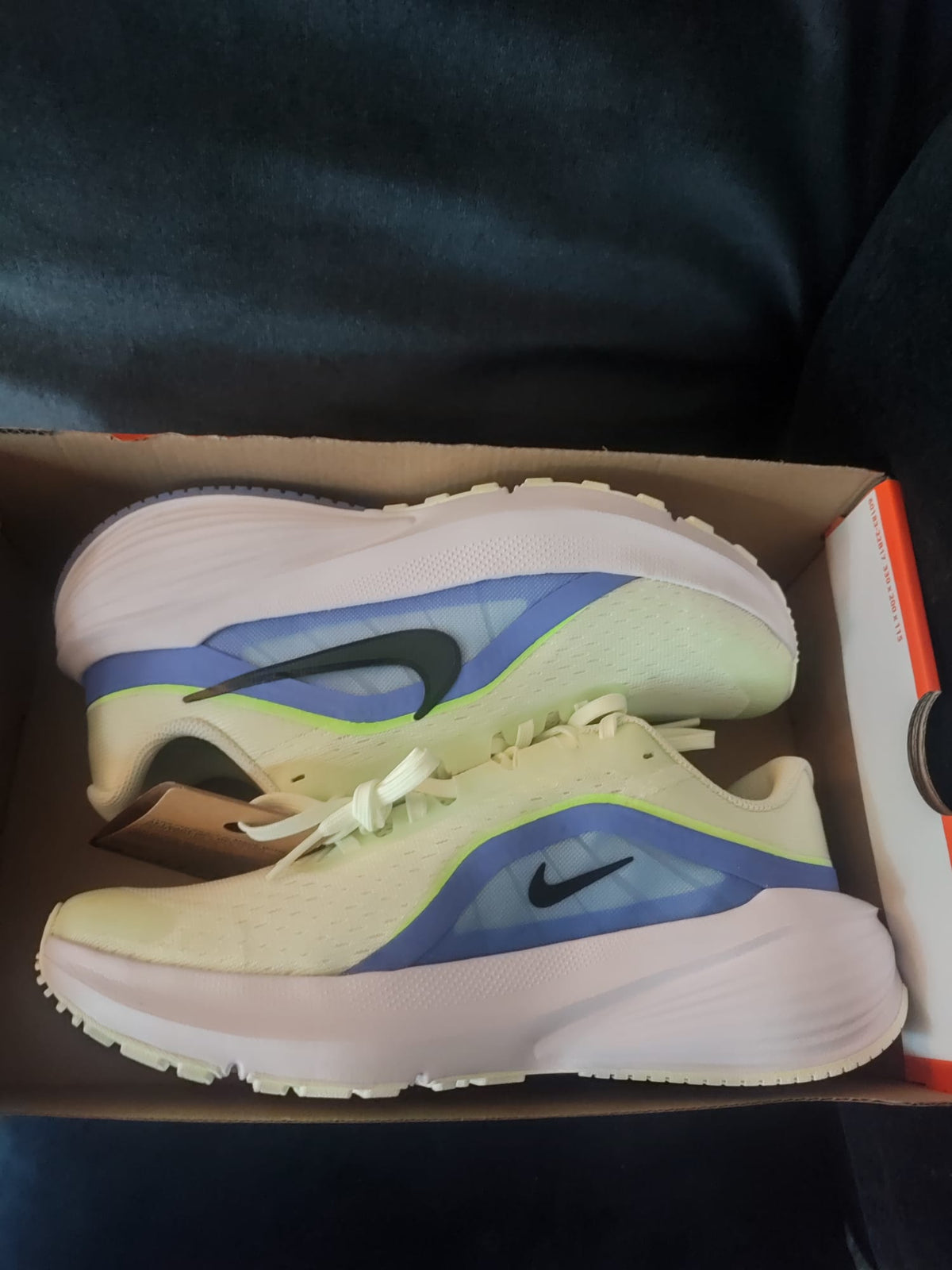 Nike Downshifter 14