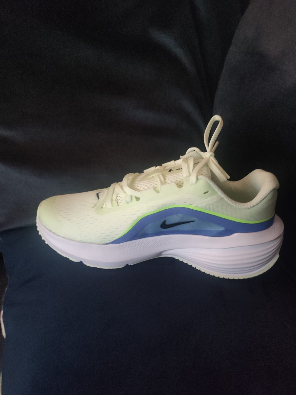 Nike Downshifter 14