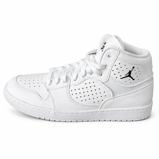 NIKE Jordan Access